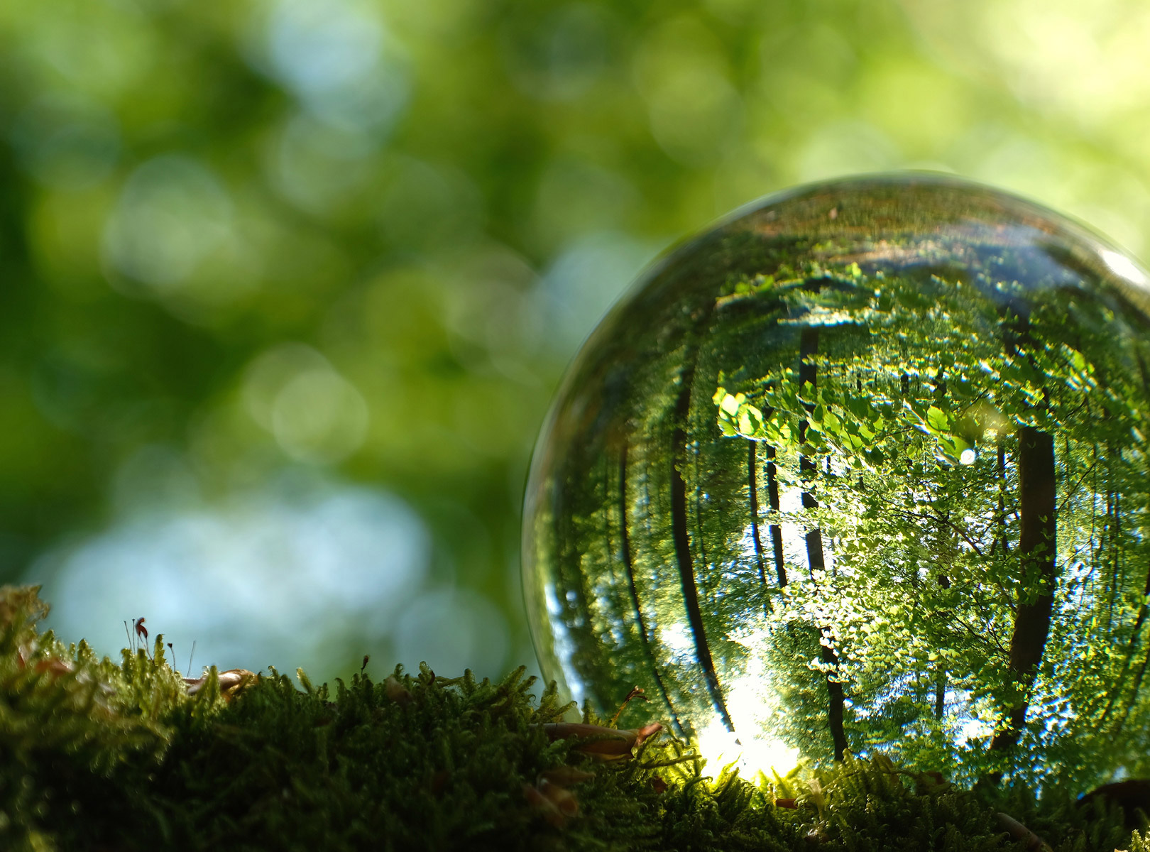 Bio Based Lenses